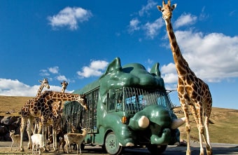 九州自然動物公園アフリカンサファリ