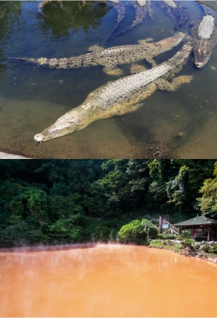 すな湯とむし湯