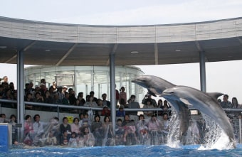 大分マリーンパレス水族館「うみたまご」